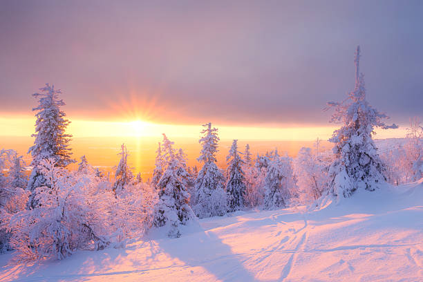 istock Winter landscape during sunset. Trees covered with snow. Sun rays through the trees. Lapland, Finland. Winter wonderland. Scandinavian countries. Background, wallpaper, postcards 2234279378