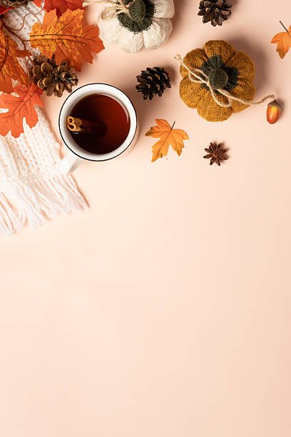 istock Autumn flat lay background with hot lea and leaves. 2234282451
