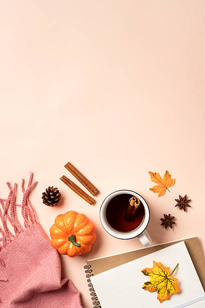 istock Notebook, hot tea and scarf with fallen leaves. 2234282518