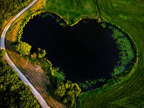 istock Heart-shaped lake embedded in a green landscape from a bird's eye view, surrounded by trees, natural landscape in Wüsting, 27798 Hude, Lower Saxony, Germany 2234283049