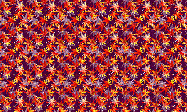 istock Japanese-style background material with scattered watercolor autumn leaves, purple background 2234285894