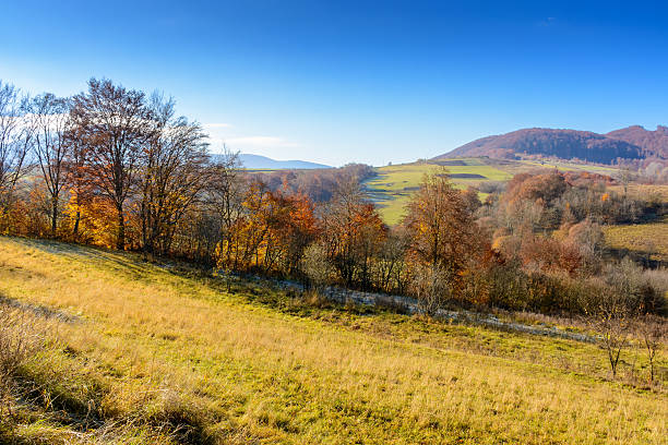 istock rural landscape in autumn 2234288159