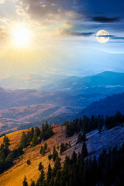 istock fir trees on a meadow down the hill 2234288257