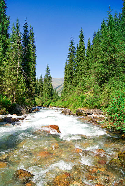 istock a turbulent mountain river in Almaty, Kazakhstan 2234288677