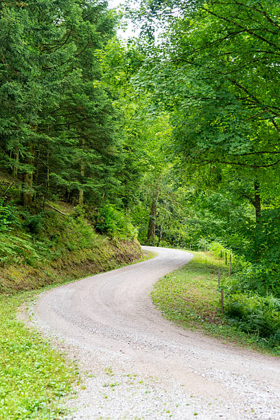 istock Forest paths in Black Forest Germany nature landscape 2234291991