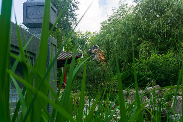 Chinese garden, view through the grass