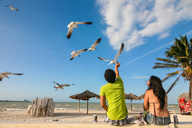 Progreso, Mexico - march 11, 2012: Mexican couple feeding gulls on a beach in Progreso near Merida, Yucatan, Mexico