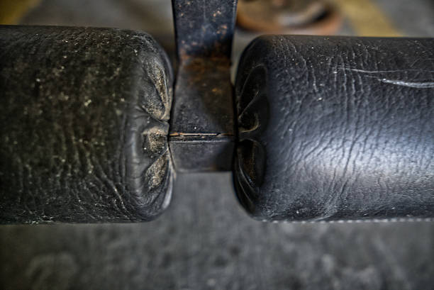Squat and weights for weight training