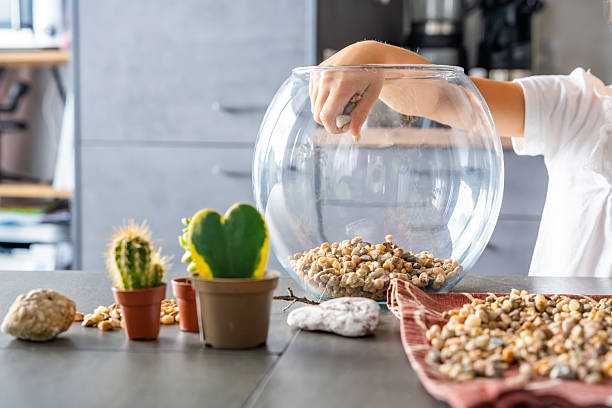 istock Close-up of child hands pouring stones into a glass container while preparing drainage for a florarium or closed ecosystem. Tactile learning, mindful creativity and eco-friendly crafting. 2234301123