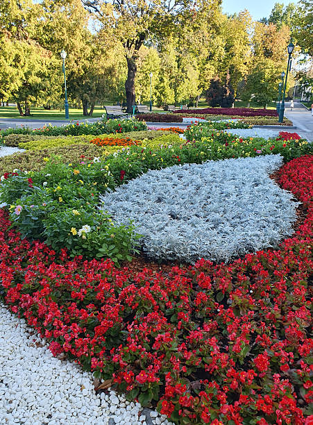 istock A bright flowerbed blooming profusely on a sunny summer day. Multicolored flowers 2234302403