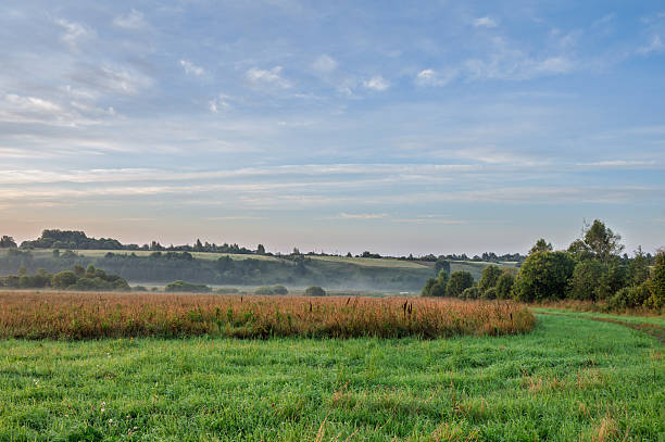 Air dawn summer landscape with large meadow, far forest under blue sky with white clouds. Natural summer background.