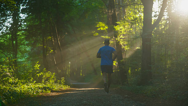 istock Sportsman Running in a Forest Trail During Sunrise 2234303974