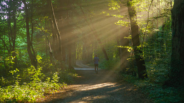 istock Man Running in a Magical Forest with Sunbeams at Sunrise 2234303978