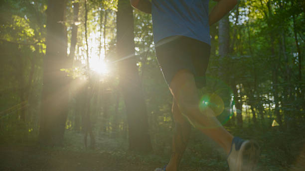 istock Athlete Running in the Forest During Sunset 2234303999