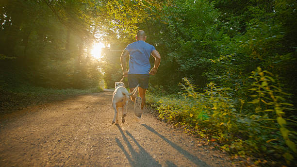 istock Man Running with his Dog in a Forest at Sunset 2234304046