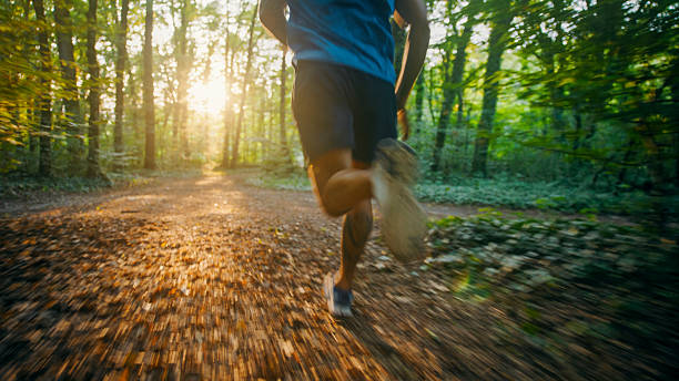 istock Athlete Running in Forest at Sunset, Enjoying the Workout 2234304142