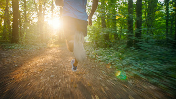 Athlete Running through a Serene Forest at Sunset, Embracing the Beauty of Nature while Training for a Marathon and Promoting a Healthy Lifestyle Filled with Fitness and Endurance