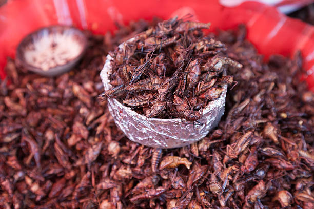 istock Fried Grasshoppers (Chapulines) in Oaxaca, Mexico 2234304567