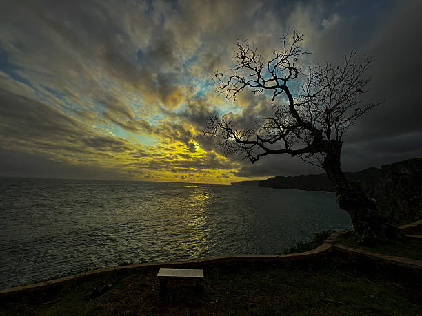 istock Sunset Over Ocean with Silhouette Tree and Golden Reflection 2234305682