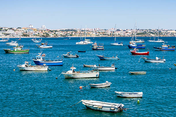 Fisher boats in Cascais