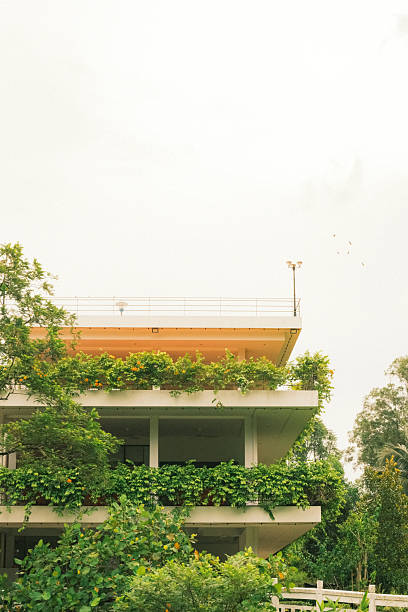 3d rendering of green lawn in modern home.