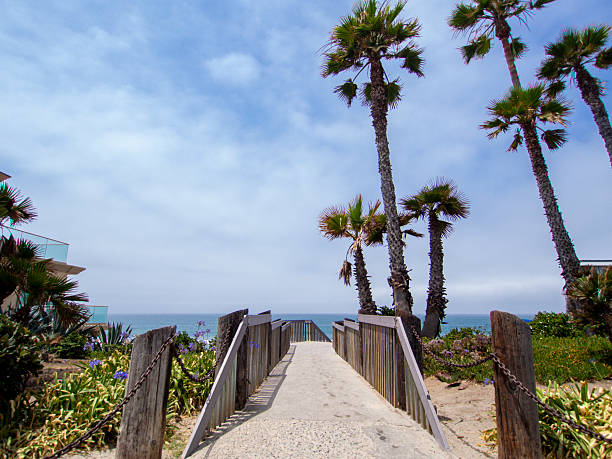 istock Scenic Ocean Pathway with Palm Trees Under a Bright Sunny Sky 2234320998