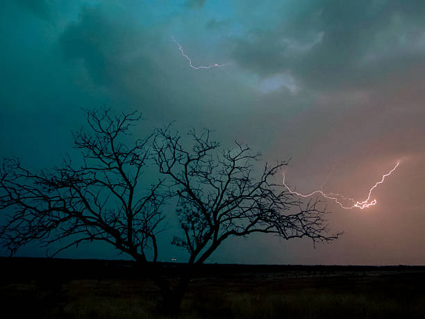 istock standing alone tree without leafs The lighting spectacle blinds the brilliance of nature's elements bolt through the sky illuminates the dark clouds 2234323211