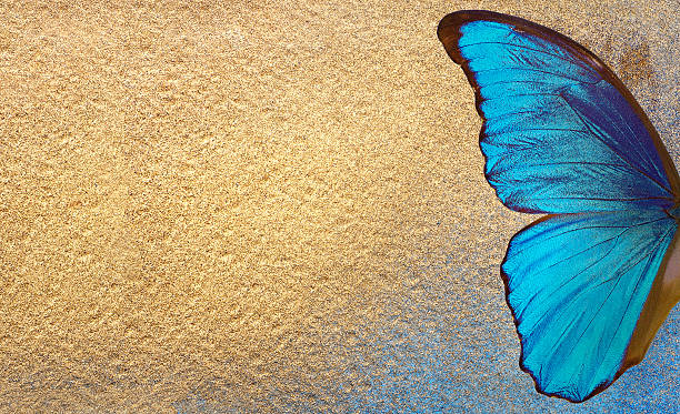 istock Bright tropical morpho butterfly. Blue and golden texture background. blue and gold colored paper. copy space 2234323653