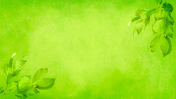 istock Fresh Green Background of Leaves and Copy Space 2234324443