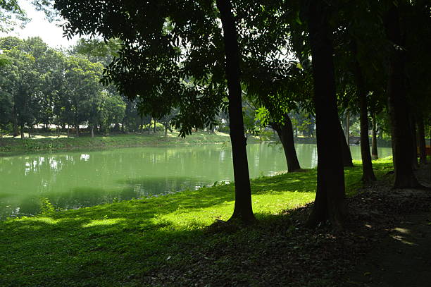 istock Tranquil lakeside scene with lush greenery and vibrant plant growth 2234326367