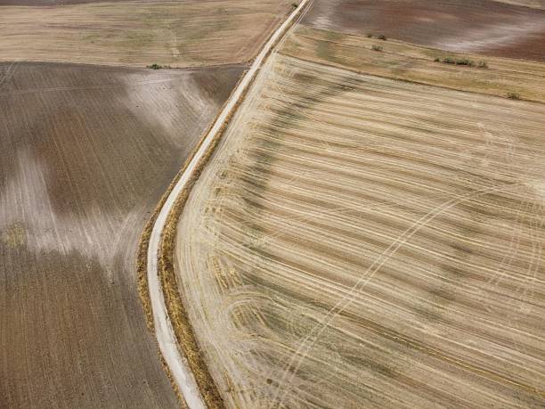 istock Creating patterns on fields during harvest time in rural landscape under clear sky 2234327119