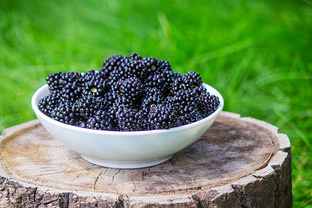 Blackberries in a bowl on a stump in the garden