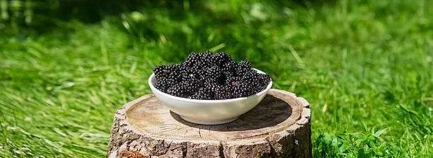 Blackberries in a bowl on a stump in the garden