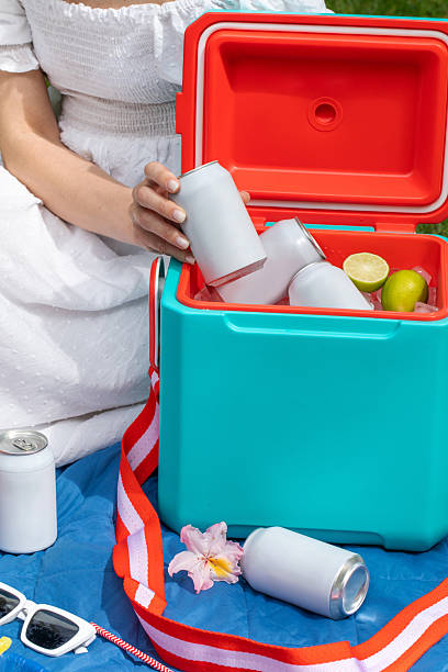 istock Woman holding beverage can with copy space over thermos box 2234335958