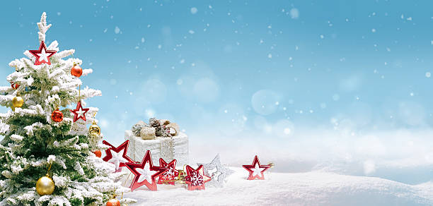 Beautiful composition with a Christmas tree for creative work on the theme of Christmas.