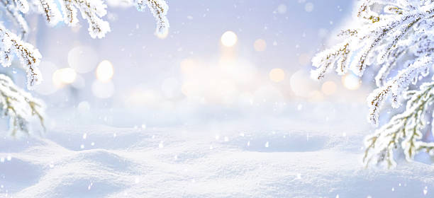 istock Beautiful background image in light tones with snow-covered branches, small snowdrifts and soft bokeh. 2234336176