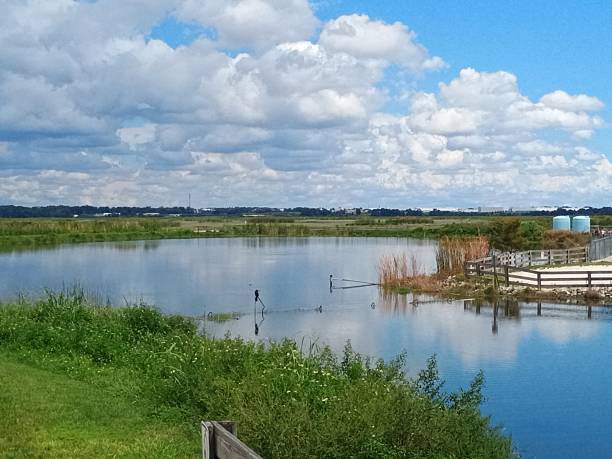 istock Lake Apopka wildlife drive 2234340150