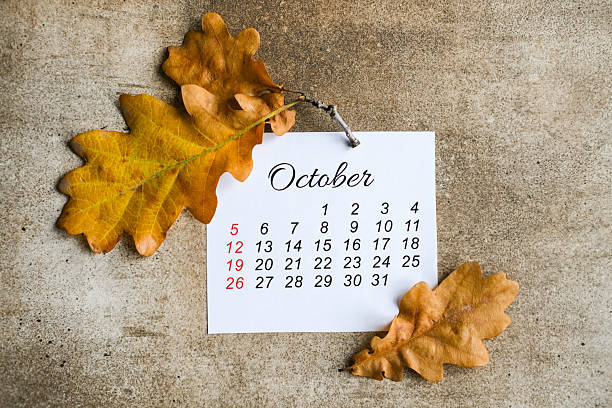 istock Small September calendar is placed on blank spiral notebook next to pen on stone background. Business planning, deadlines, and academic organization 2234348365