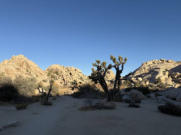 istock Panoramas from USA 2234348375