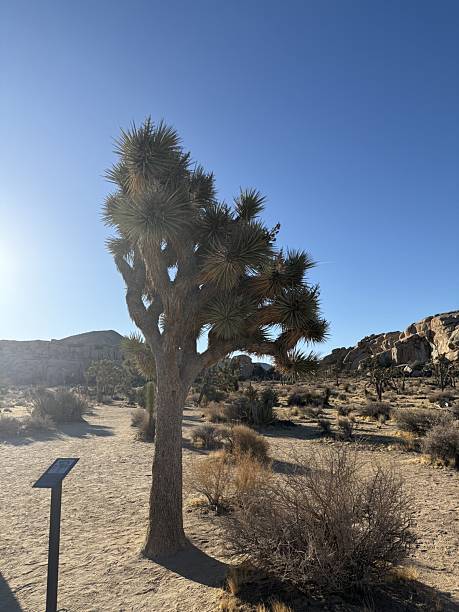 istock Panoramas from USA 2234349097