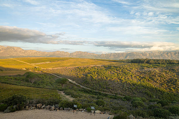 Golden Sun on the Somerset West Mountain range and valley as the gravel road leads into the distance