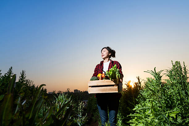 istock Female farmer carrying crate with vegetables 2234352574