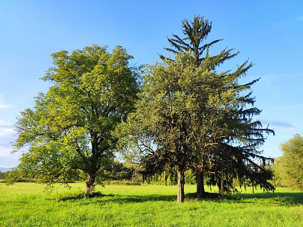 Beautiful nature photos