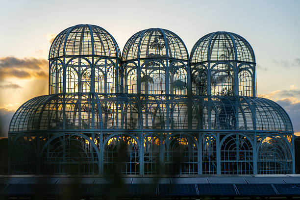 istock Winter Morning at Curitiba Botanical Garden 2234355020