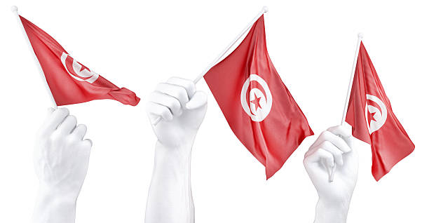 Hand holding flag of Tunisia. Isolated 3d Rendering.