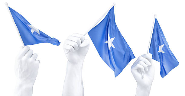 Hand holding flag of Somalia. Isolated 3d Rendering.