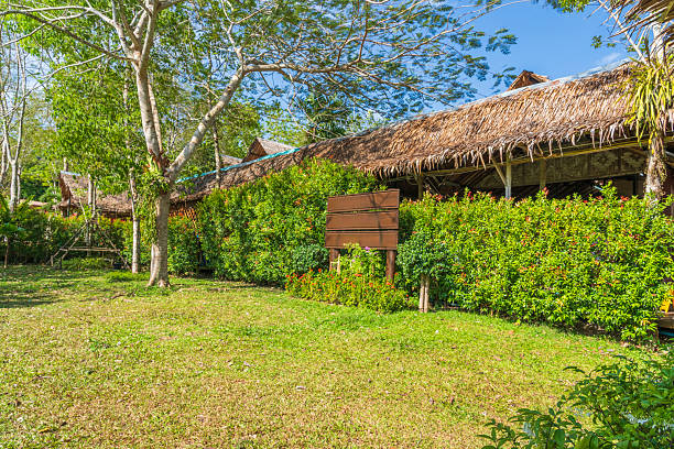 istock Retirement home in a rescue sanctuary in Phuket 2234369967