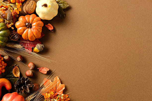 istock Autumn flat lay with pumpkins, pinecone, acorn, nut, leaf, wheat on brown background. Left side decorated, right side blank for fall, Thanksgiving or seasonal design 2234370401