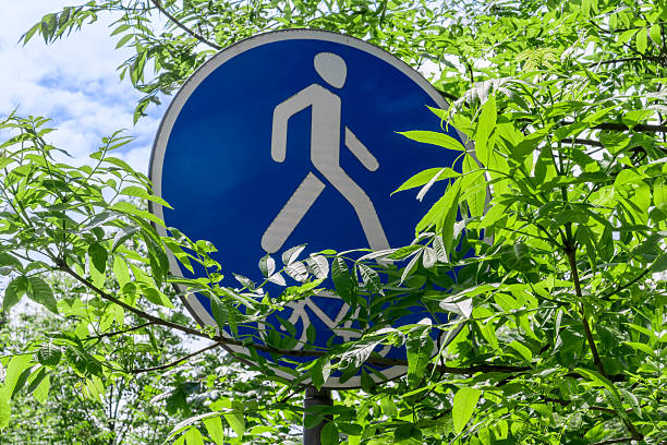 istock Blue pedestrian path sign partially covered by green leaves in park setting. Eco friendly urban mobility concept with pedestrian sign blending into nature ideal for outdoor lifestyle themes. 2234374706
