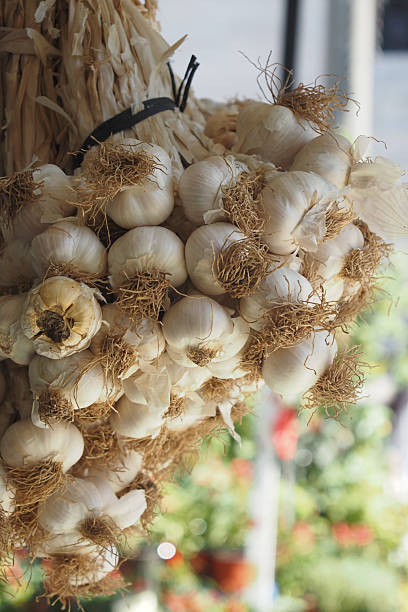 istock Fresh garlic hanging at a market in bright daylight 2234375414